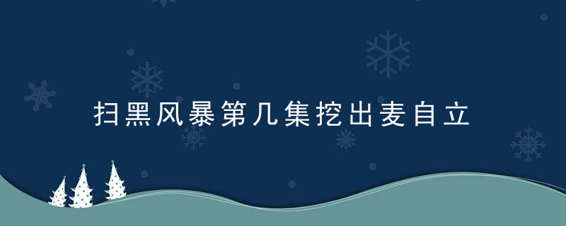 扫黑风暴第几集挖出麦自立 扫黑风暴哪集挖出了麦自立